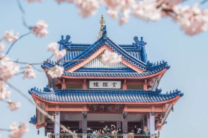 7.無錫5A景區~太湖黿頭渚風景區(賞櫻)