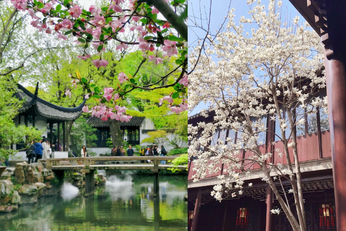 8.蘇州5A景區~拙政園